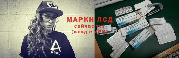 гашик Алексеевка