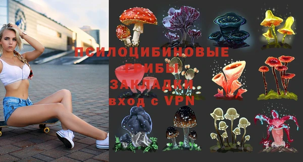 тгк Абаза